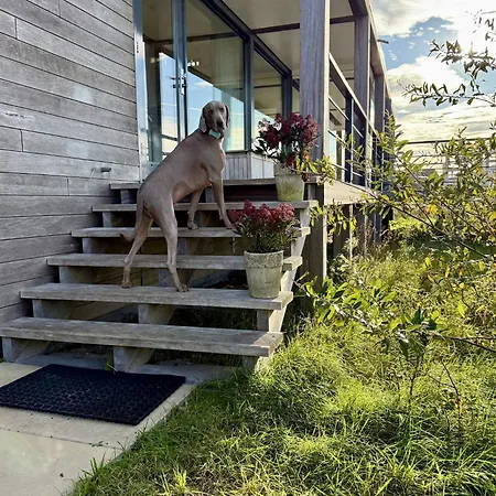 Modern Panorama - 4p - Glazen Serre, Waterzicht & Comfort - 36 * Ауддорп