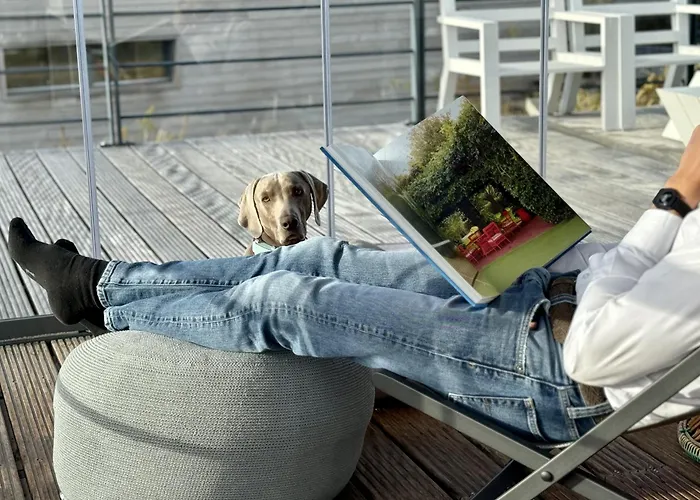 Modern Panorama - 4p - Glazen Serre, Waterzicht & Comfort - 36 Villa Ouddorp