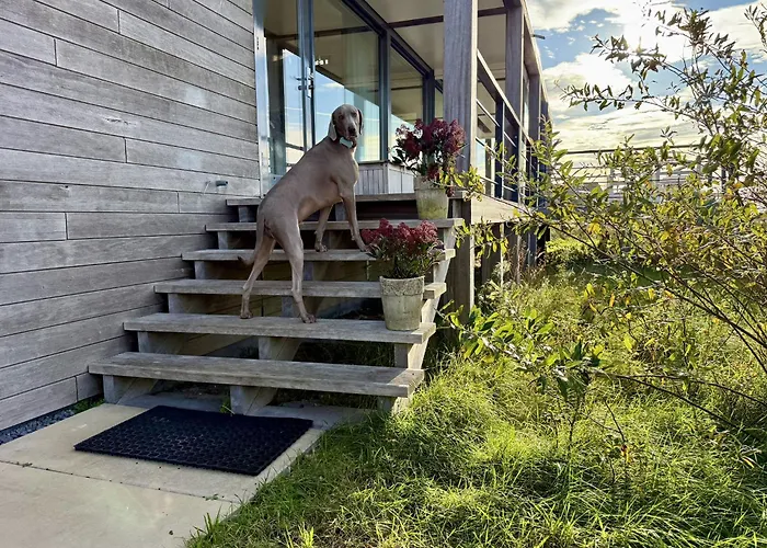 Modern Panorama - 4p - Glazen Serre, Waterzicht & Comfort - 36 * Ouddorp